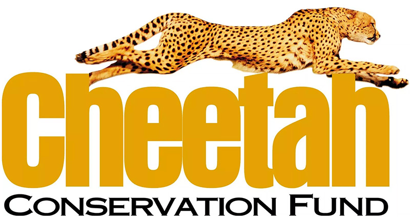 Cheetah Conservation Fund